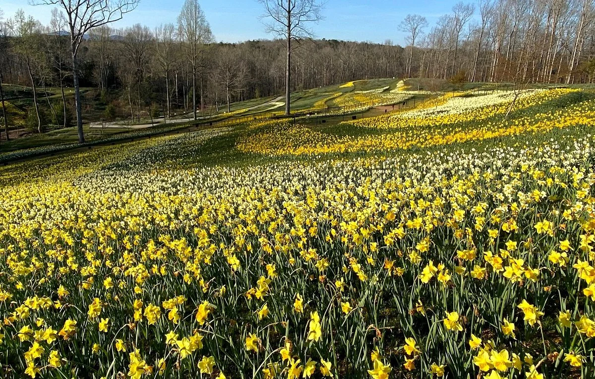 Gibbs Gardens