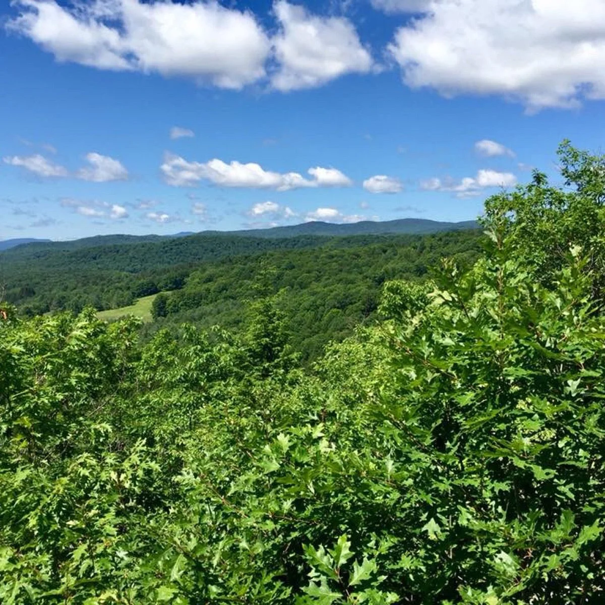 Mount Tom