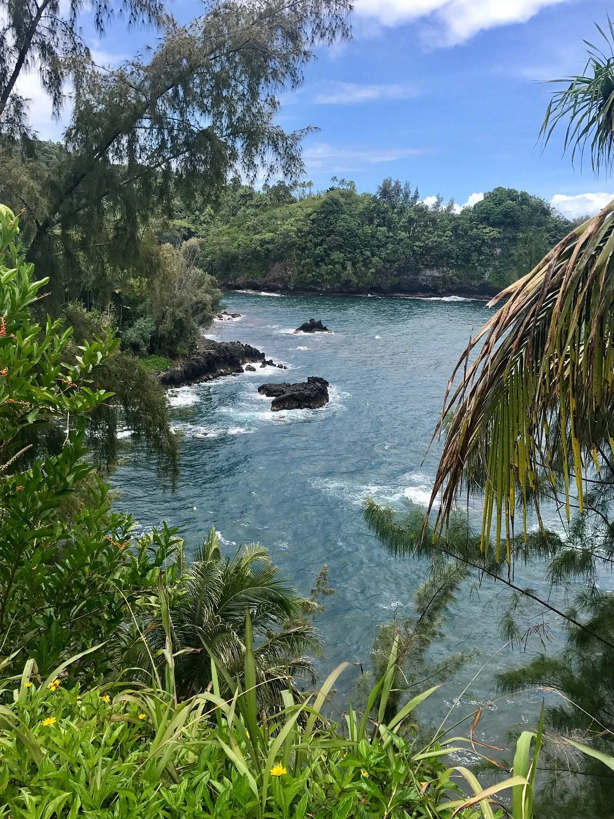 Onomea Bay