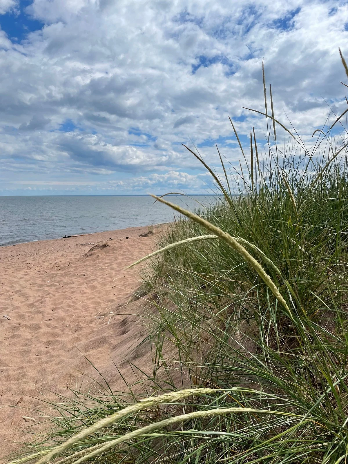 Park Point