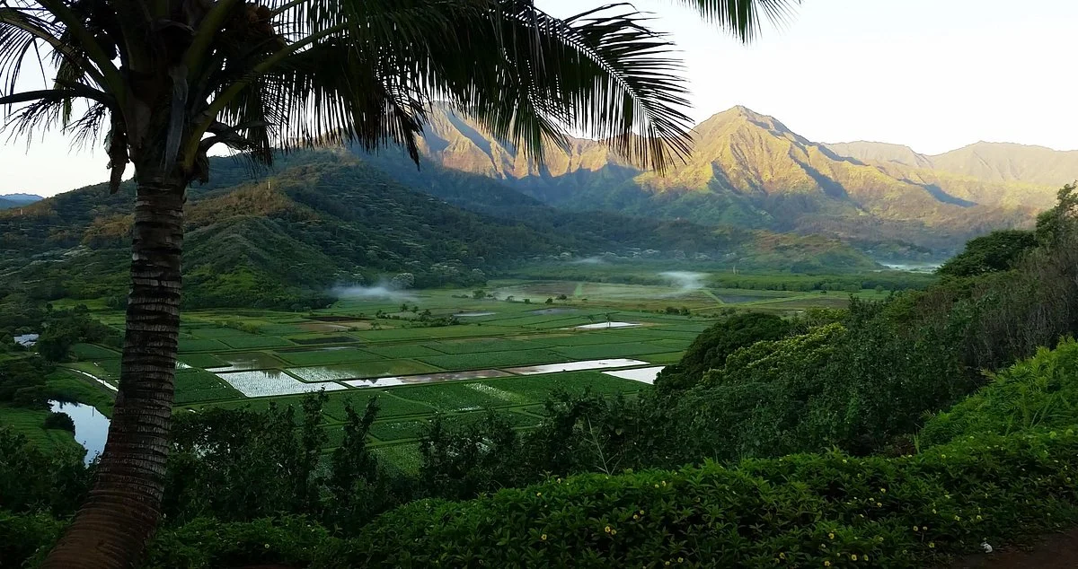Hanalei Valley Lookout