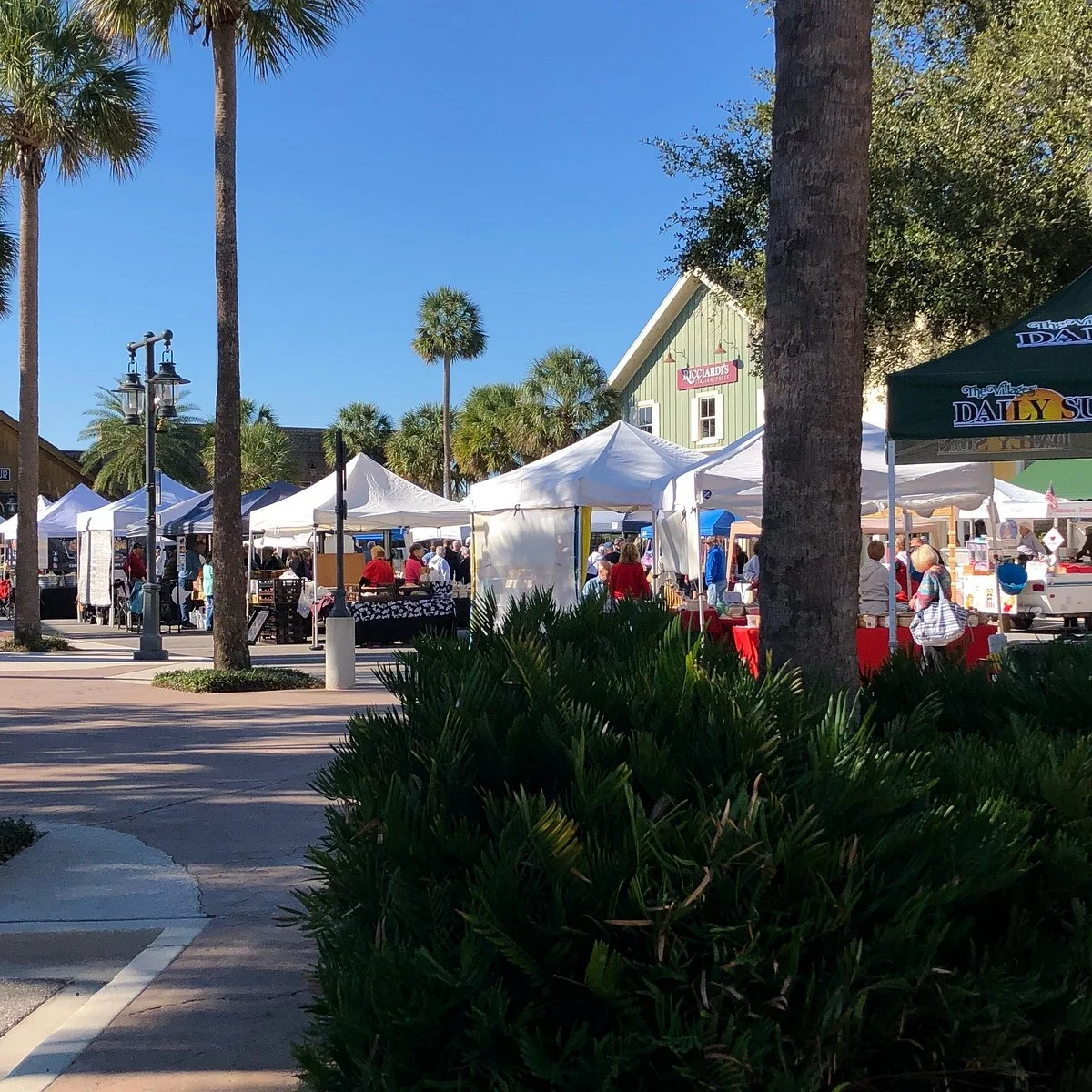Brownwood Farmer's Market
