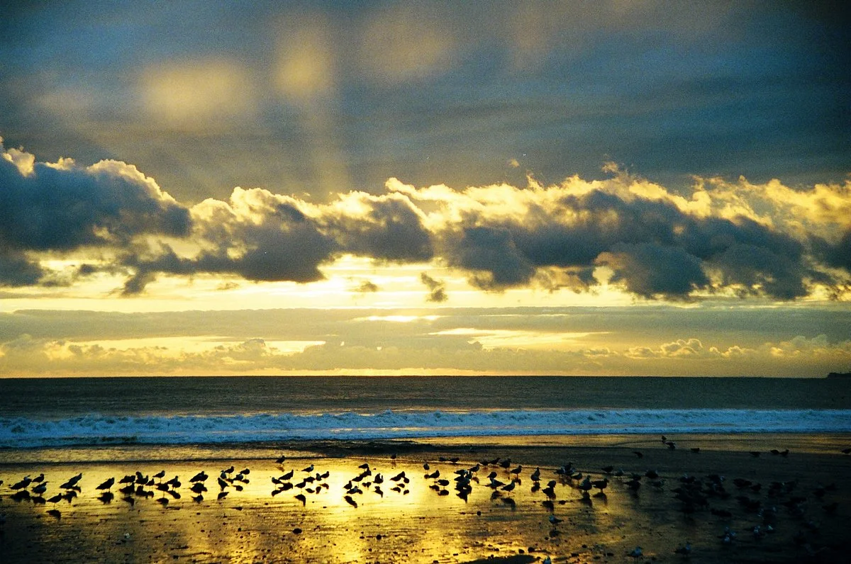 Seacliff State Beach, California