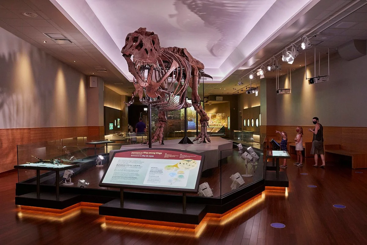 Field Museum