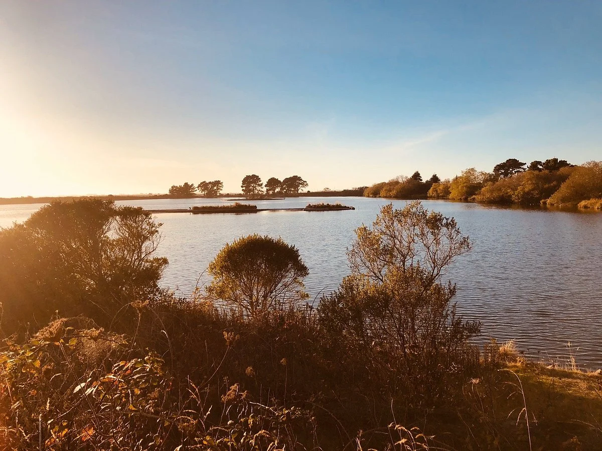 Arcata Marsh and Wildlife Sanctuary