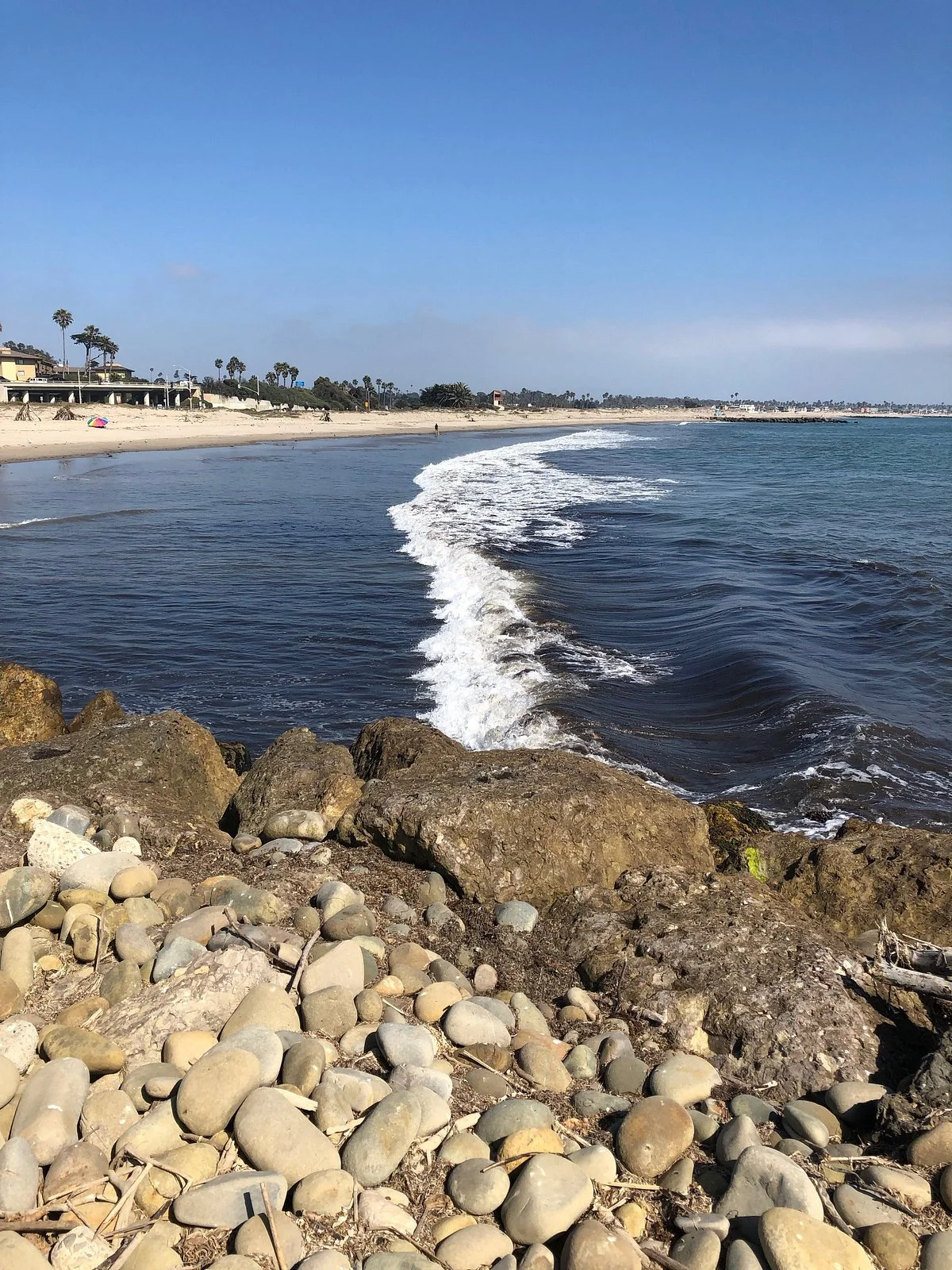 San Buenaventura State Beach