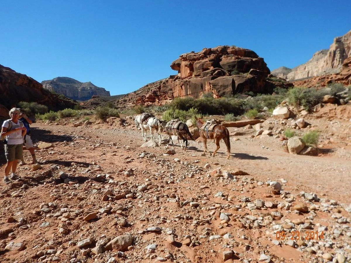 Hualapai Hilltop to Supai Trail