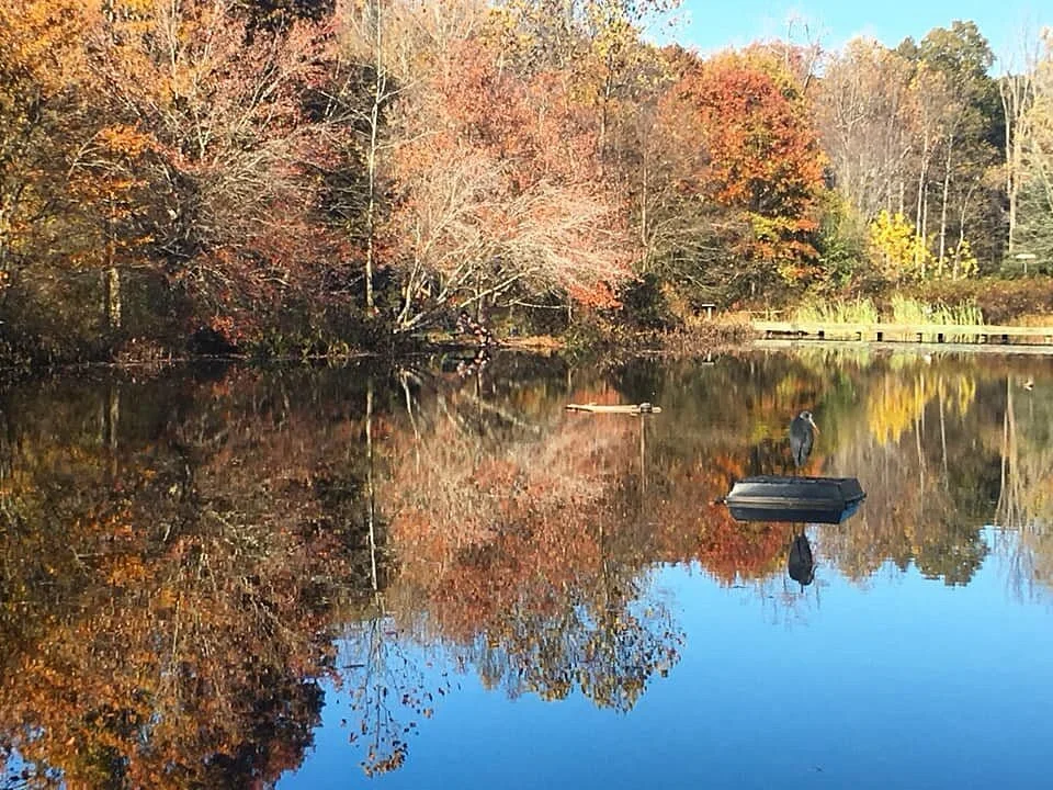 Ellanor C. Lawrence Park