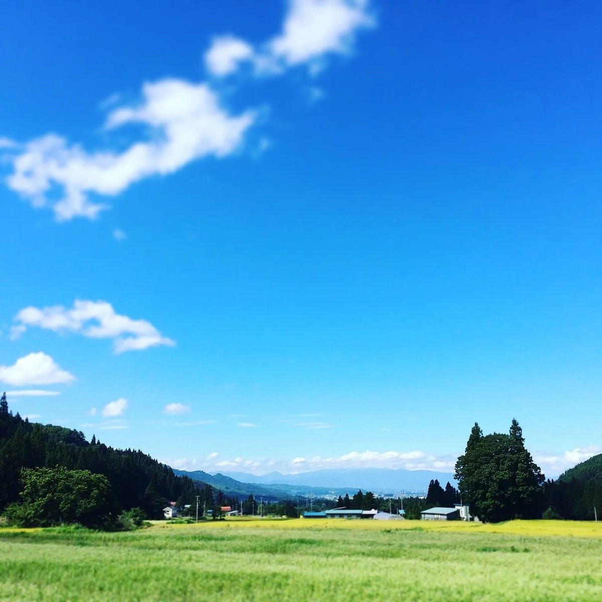 Sumomoyama Tannan Yamanokami