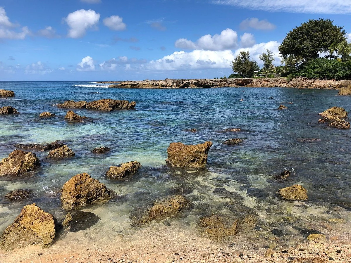 Shark's Cove
