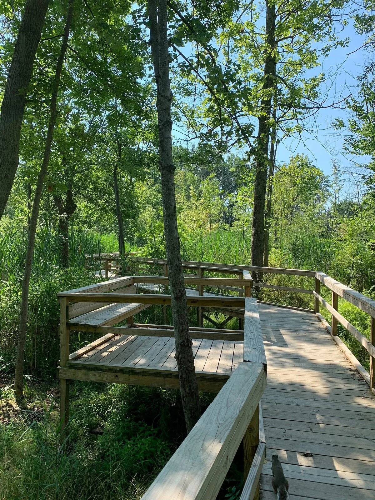 Stiglmeier Park