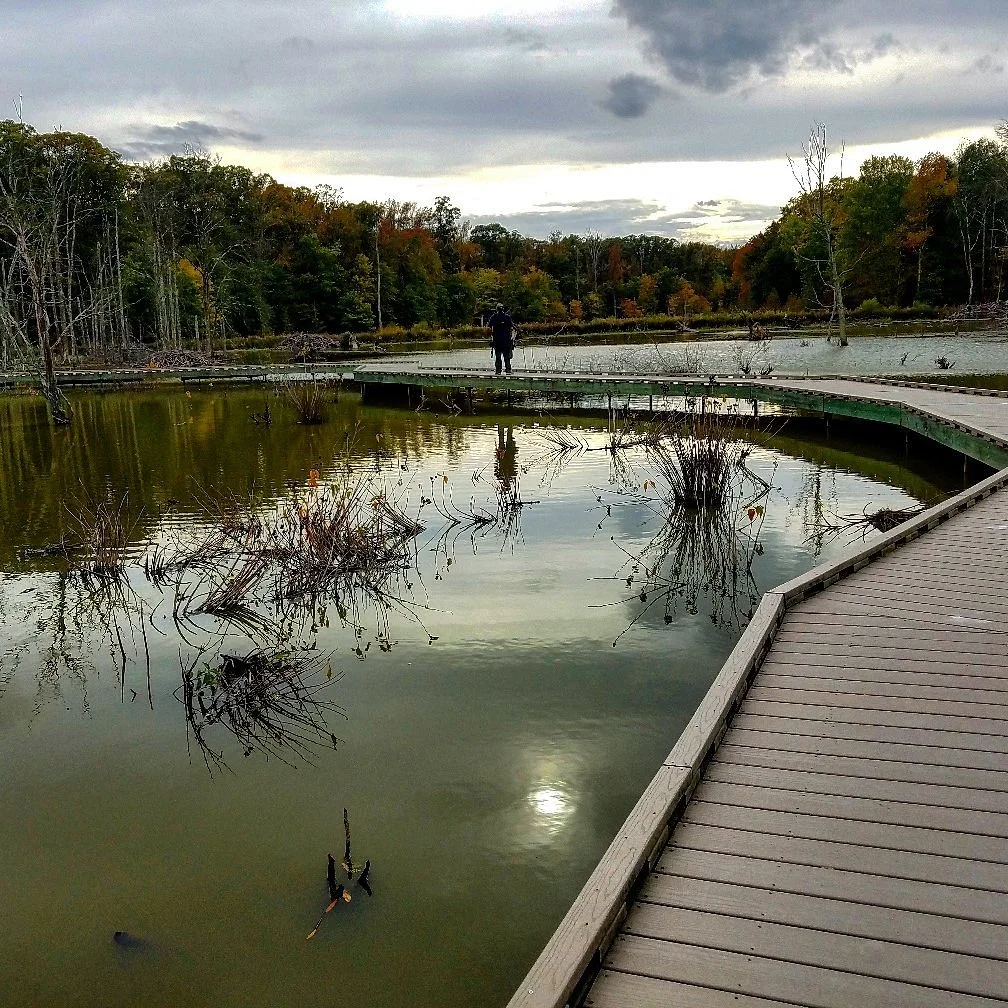 Huntley Meadows Park