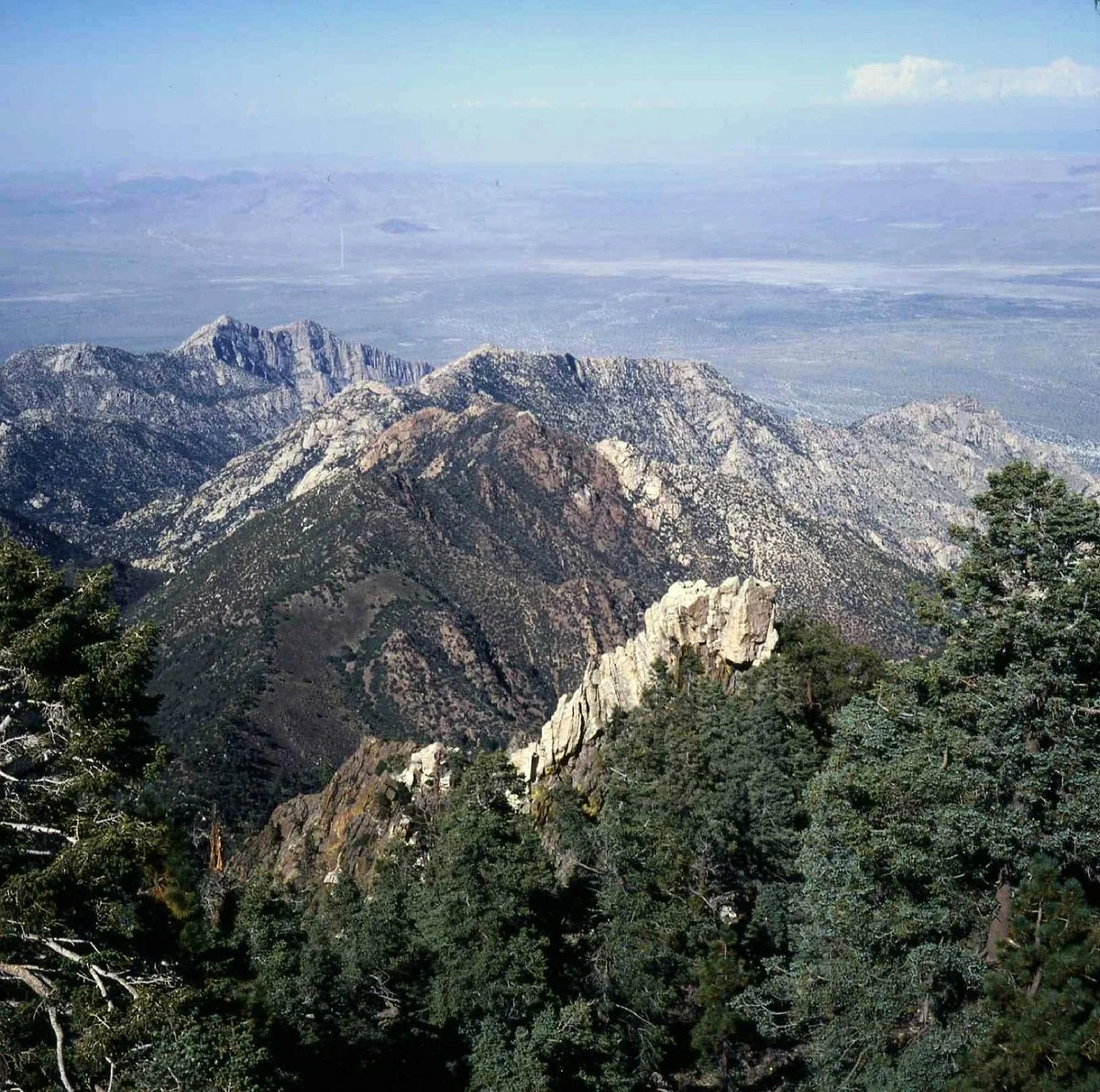 Sierra de San Pedro Martir National Park