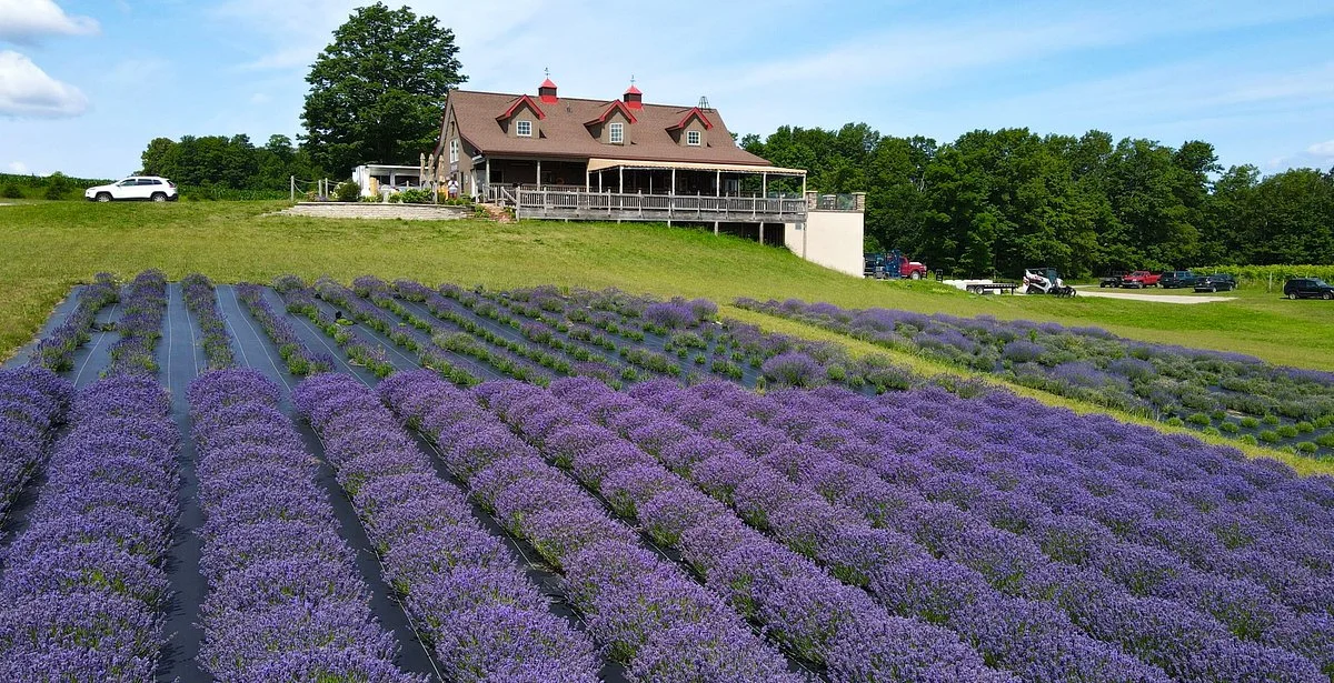 Petoskey Farms Vineyard & Winery