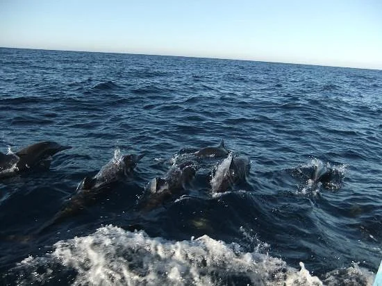 Puerto Escondido Fishing