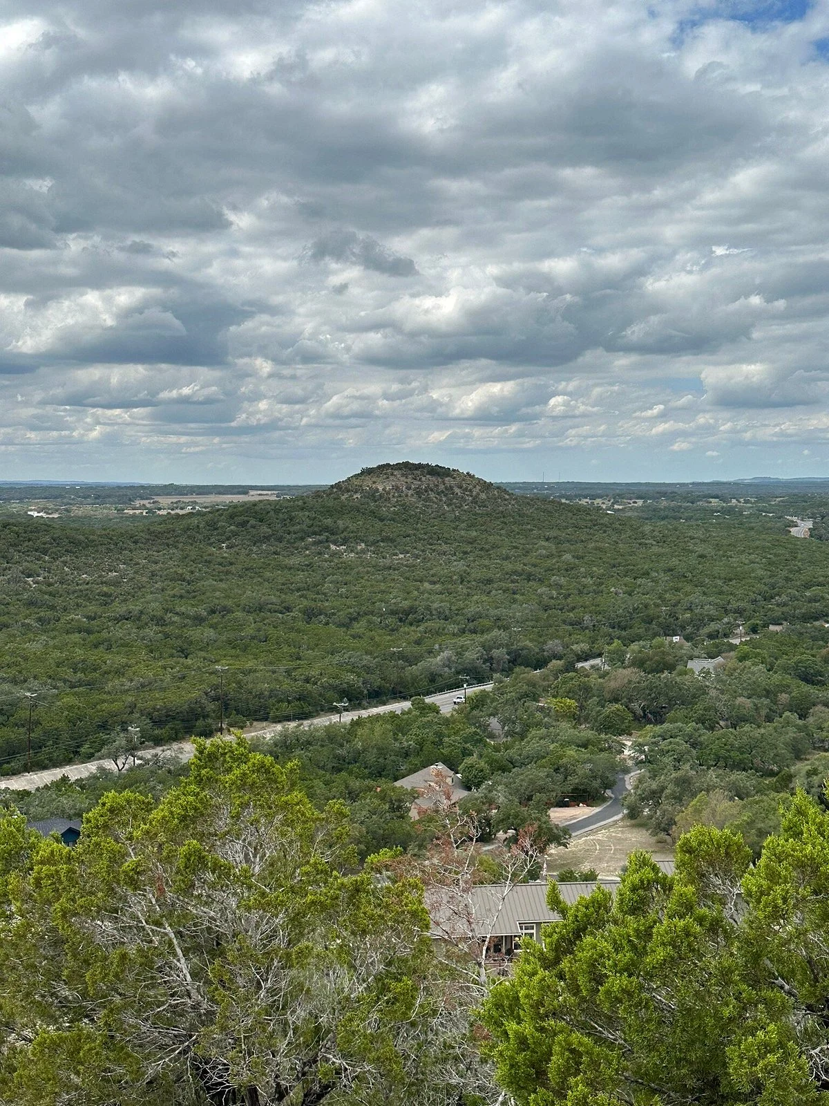Old Baldy