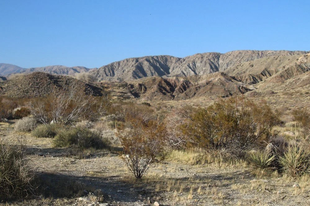 Mission Creek Preserve
