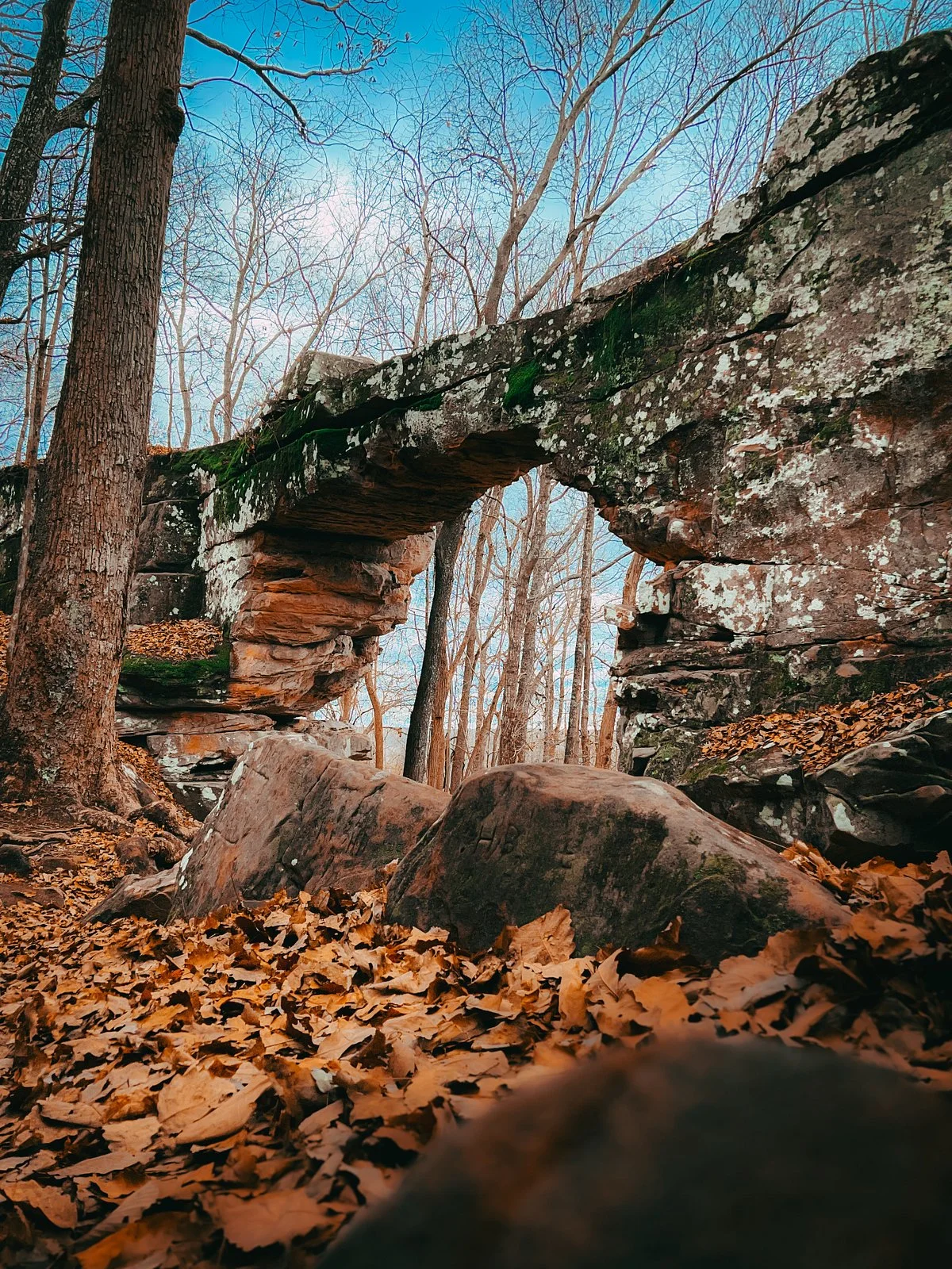 Natural Bridge State Natural Area
