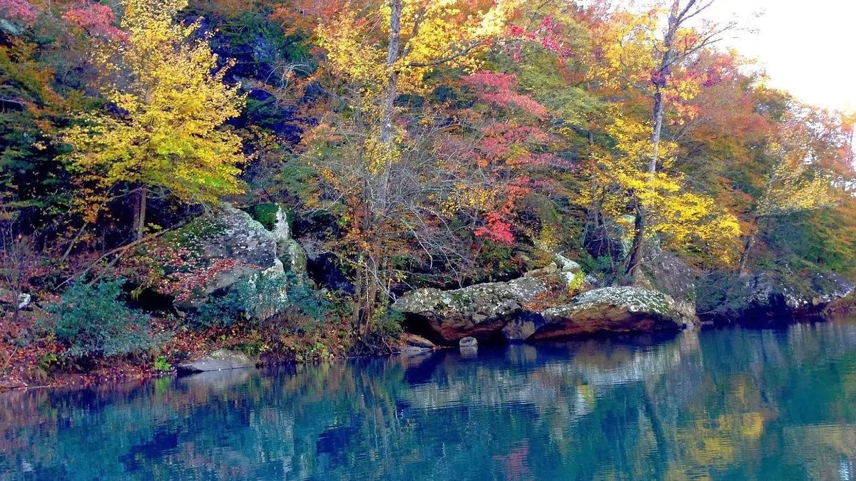Mulberry River