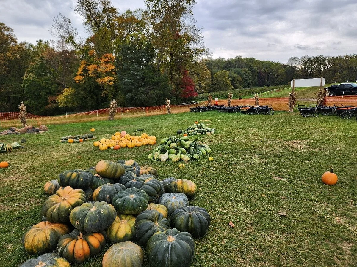 Butler's Orchard