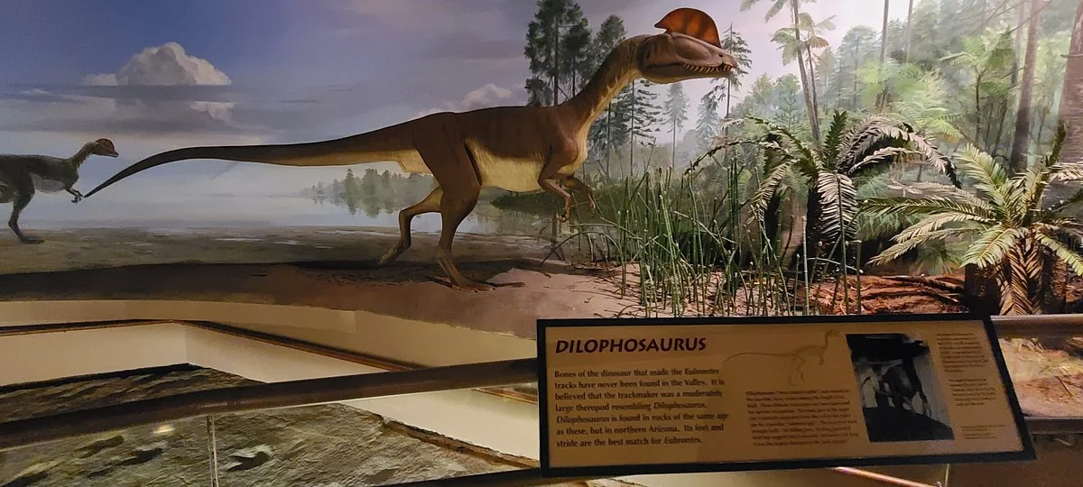 Dinosaur State Park