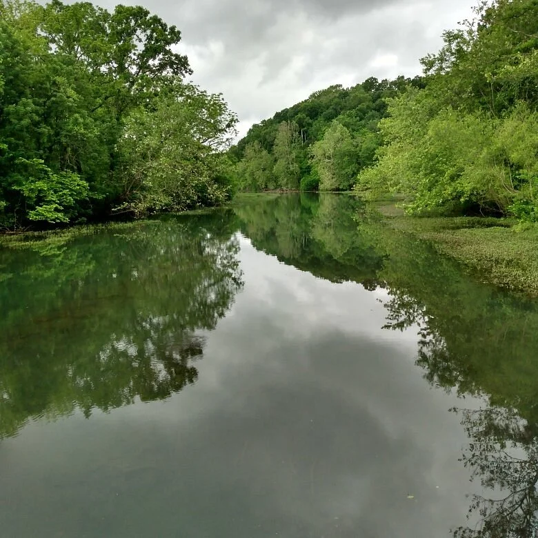 Springfield Conservation Nature Center