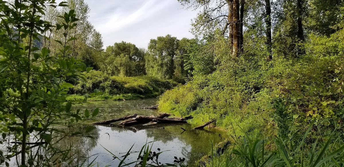 Trojan Park