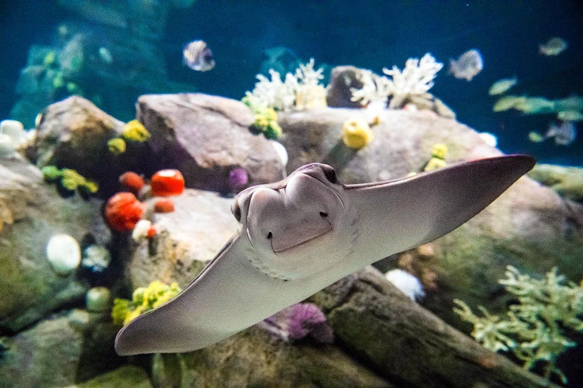 New York Aquarium
