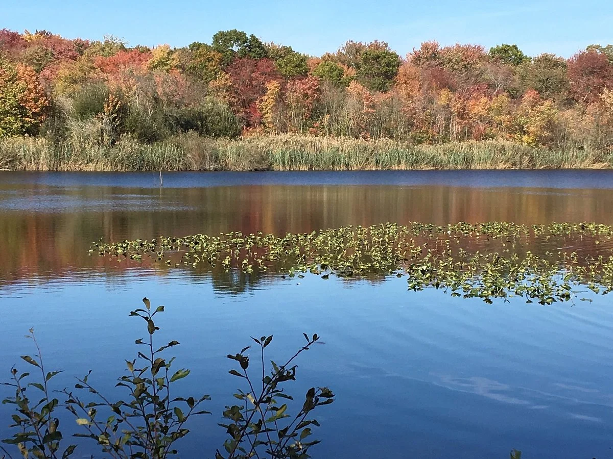 Massapequa Preserve