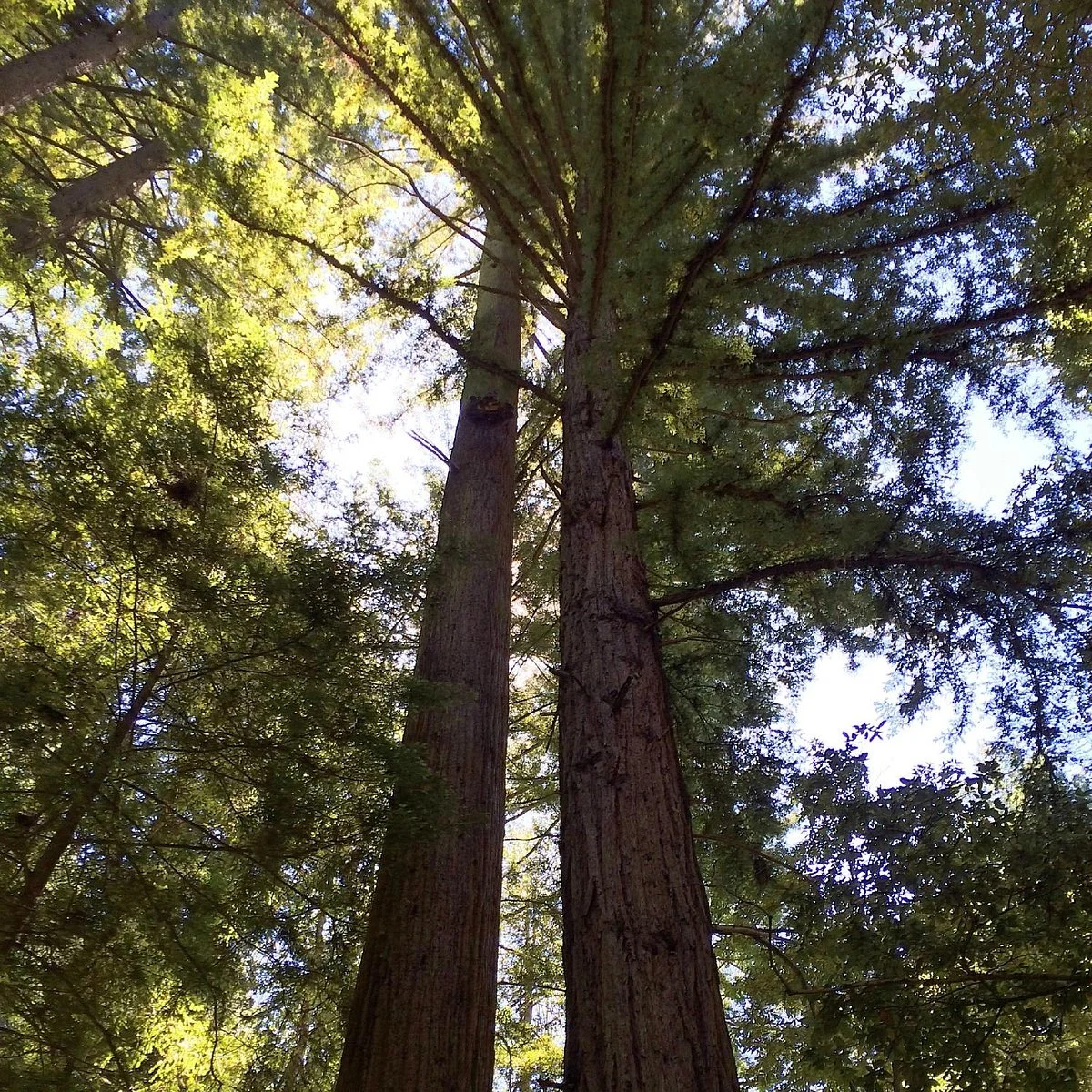 Sanborn Park