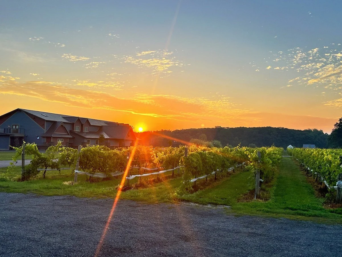 Dancing Dragonfly Winery
