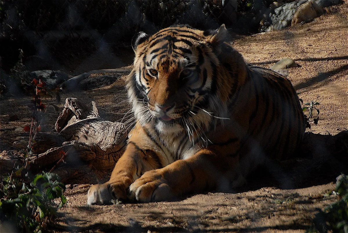 Heritage Park Zoo