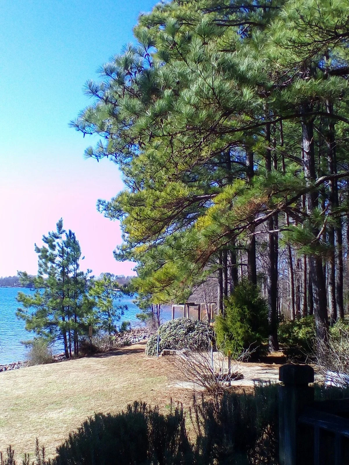 Jetton Park