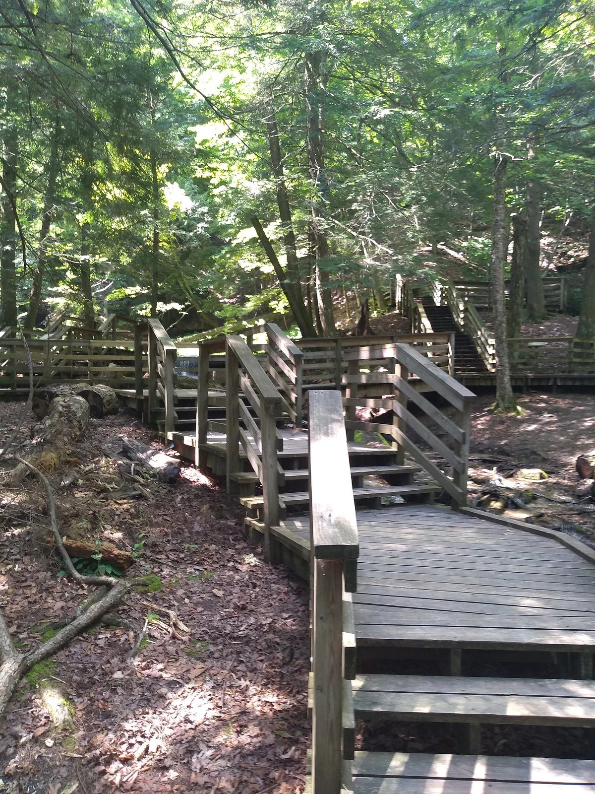 Huron-Manistee National Forests