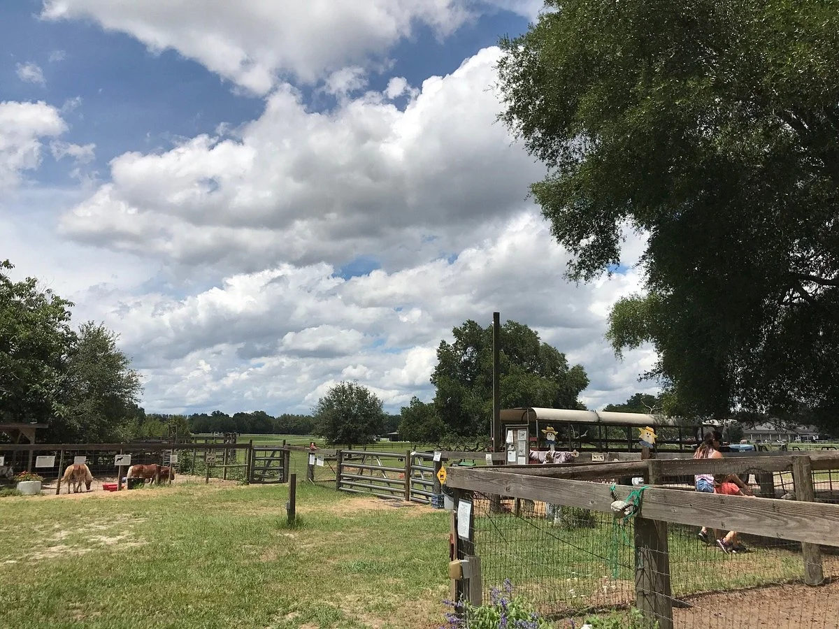 Uncle Donald's Farm