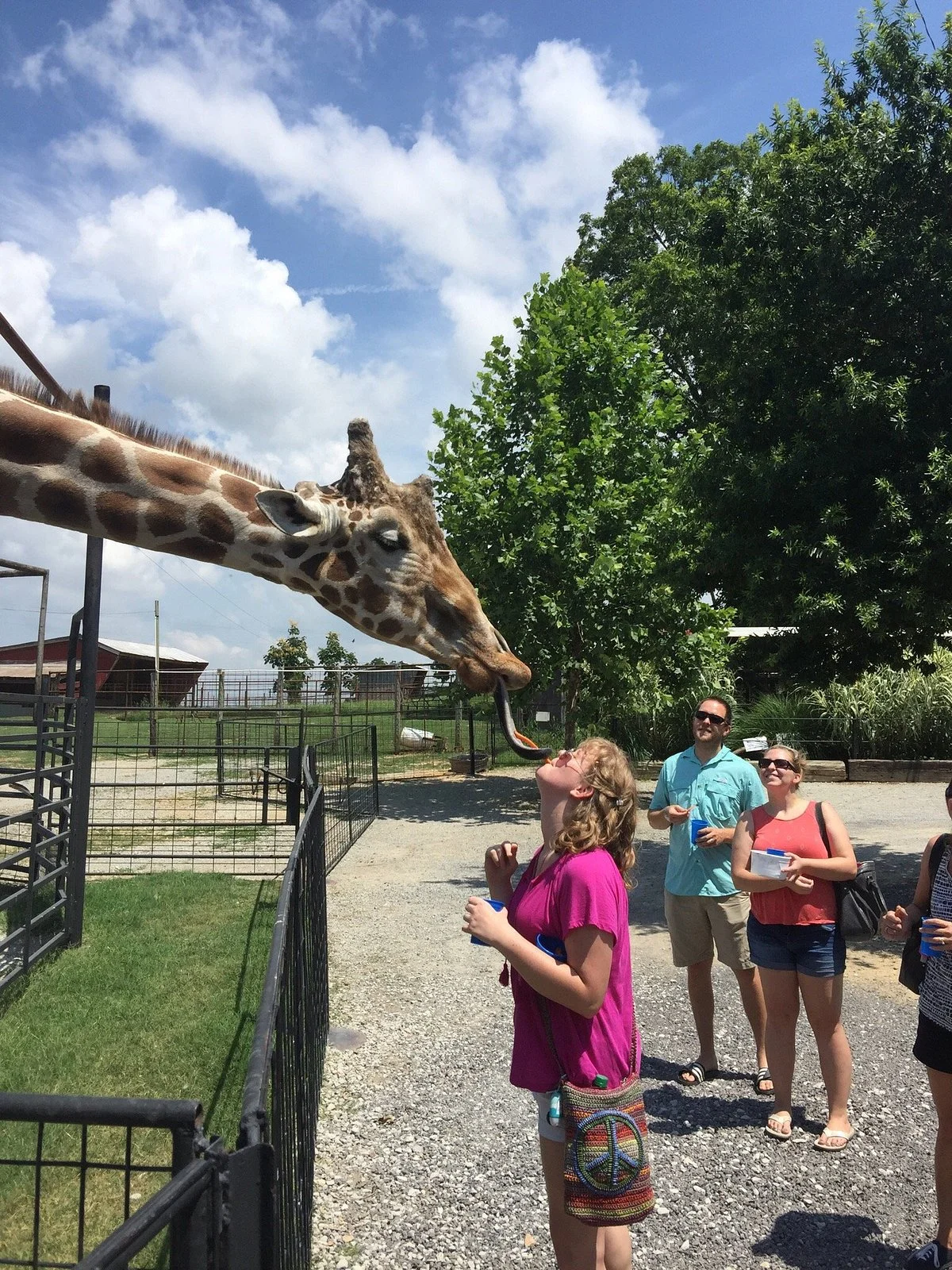 Tennessee Safari Park