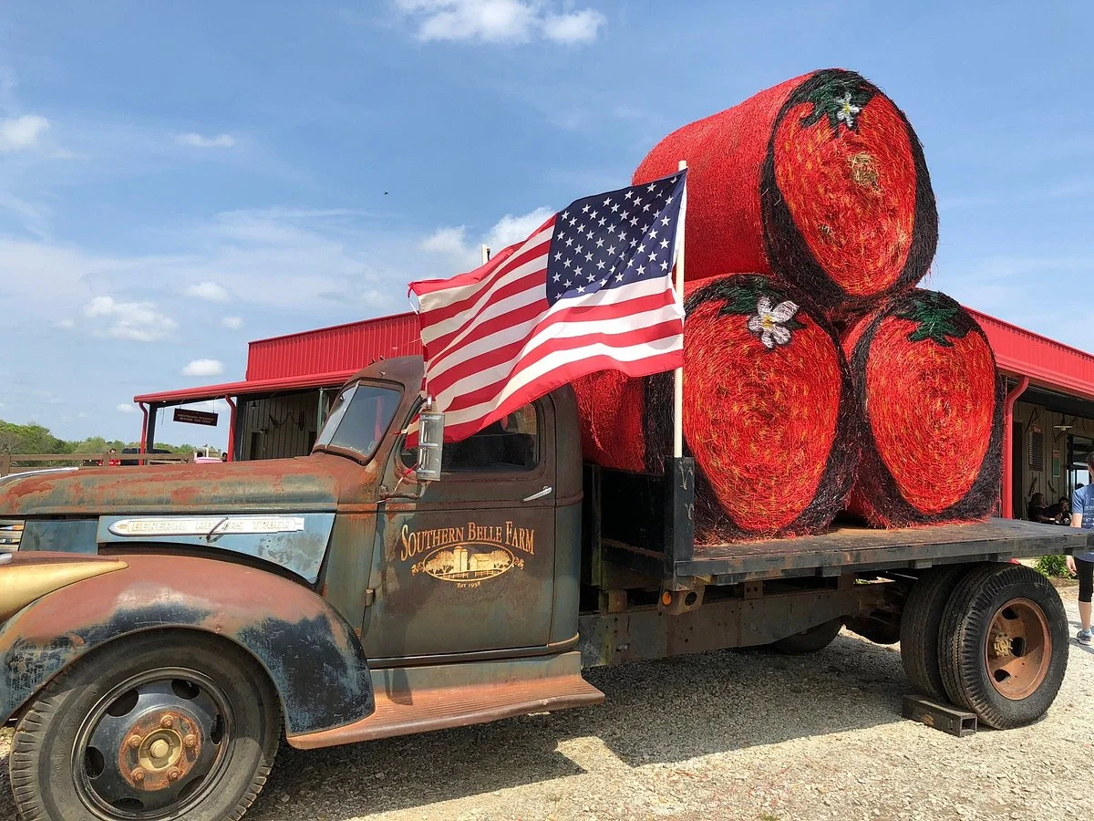 Southern Belle Farm