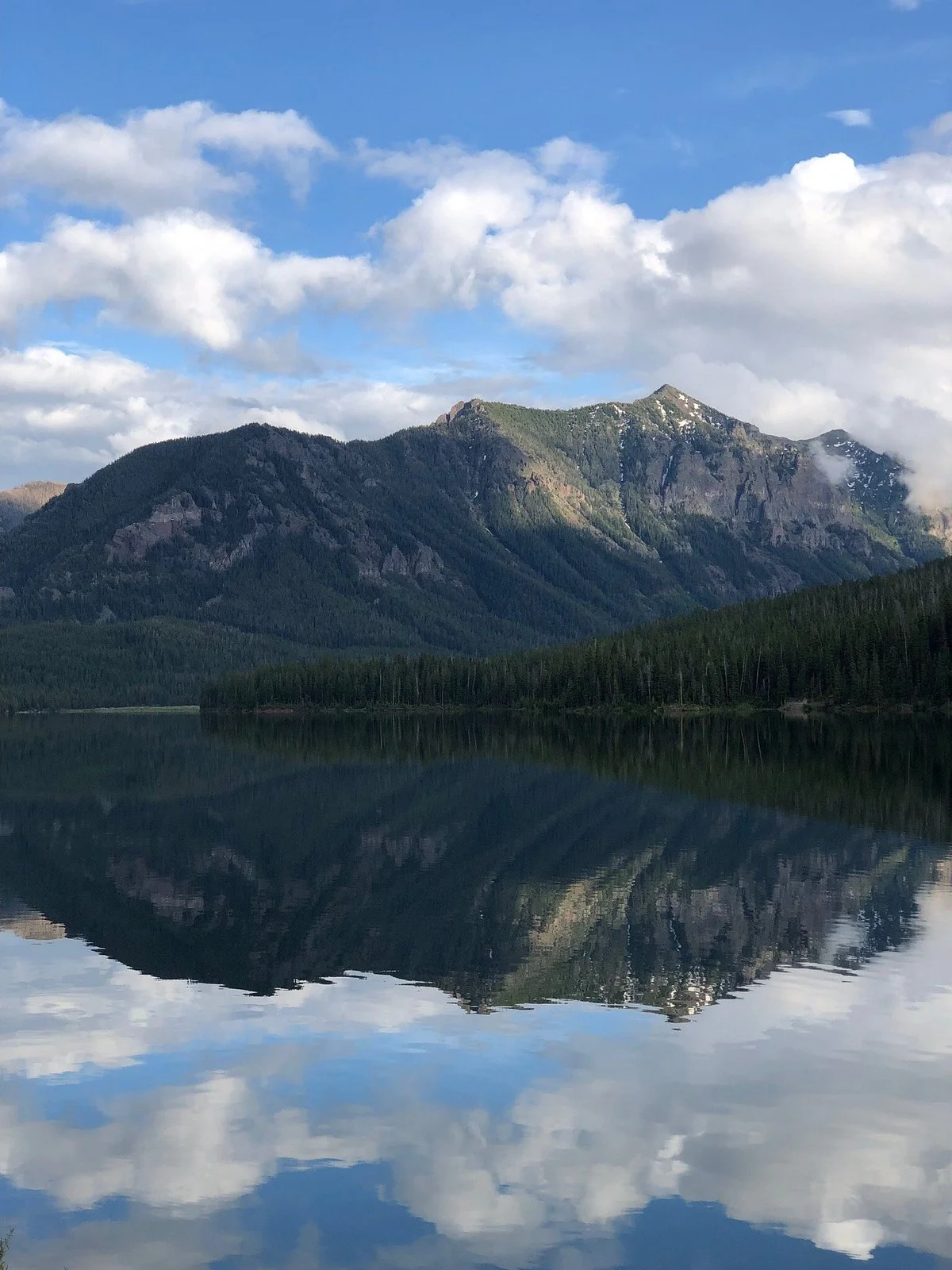 Gallatin National Forest