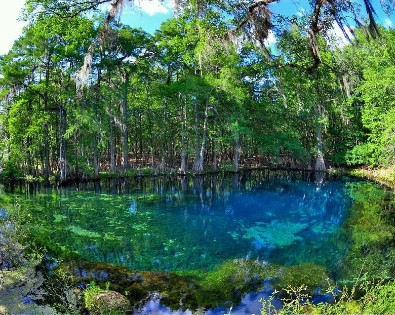 Manatee Springs State Park