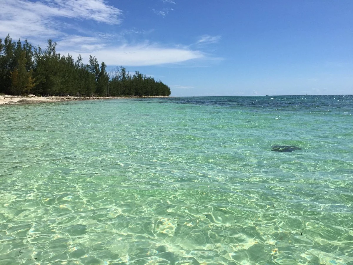Treasure Reef
