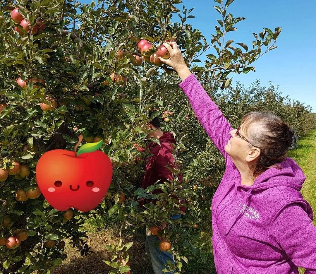 Burnham Family Farm Market