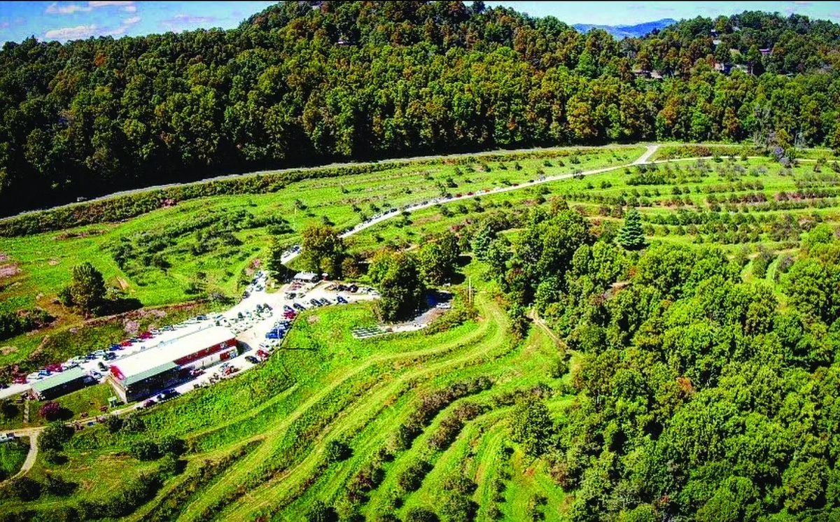 The Orchard at Altapass