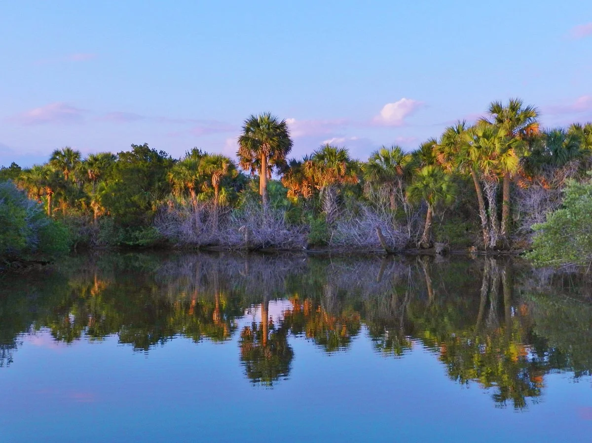 Ormond Scenic Loop & Trail