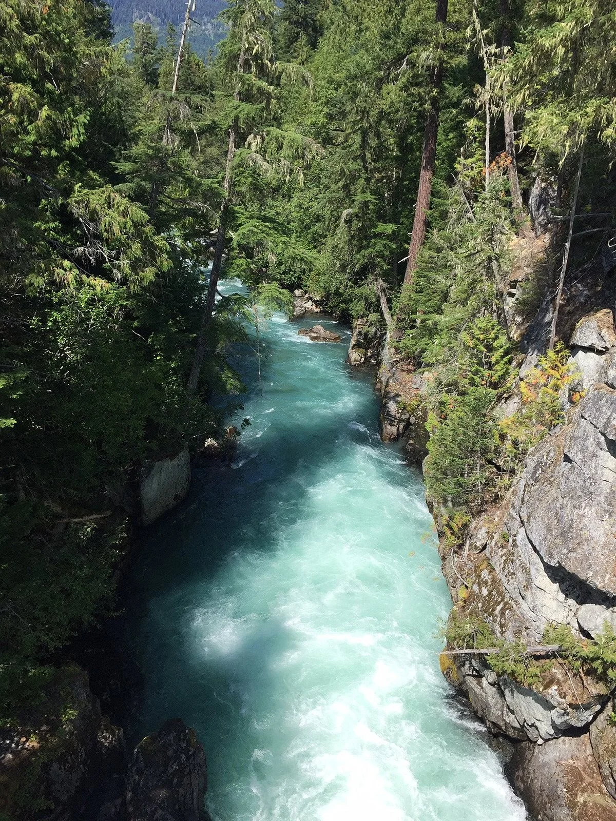 Cheakamus River