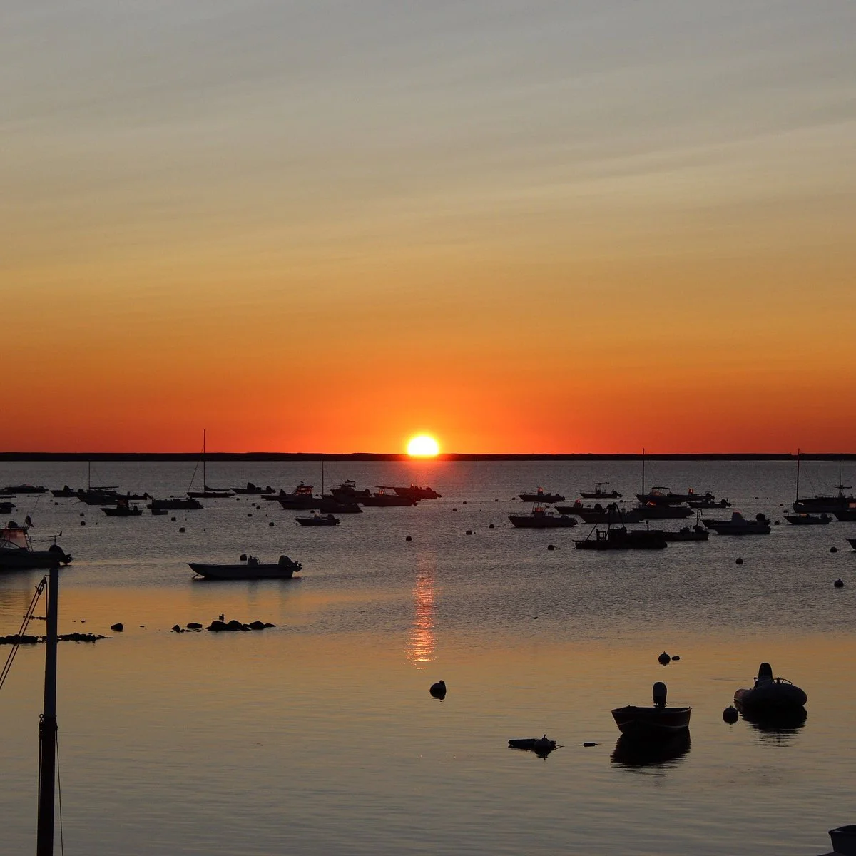 Island Creek Oyster Farm