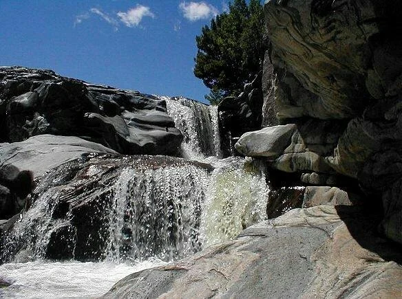 Mohawk Trail State Forest