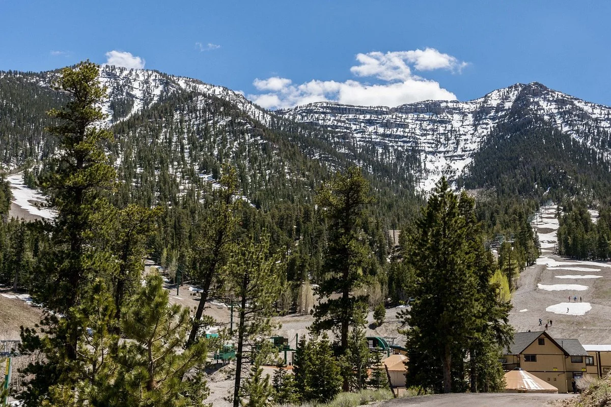Mt. Charleston Scenic Byway