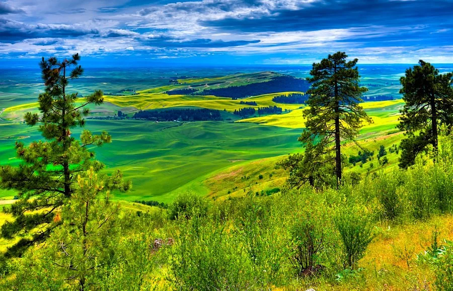 Kamiak Butte County Park