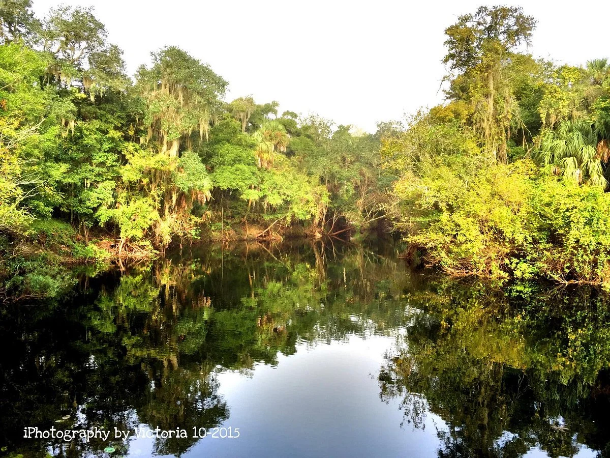 Hillsborough River State Park