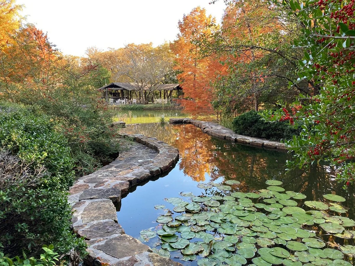 Clark Gardens Botanical Park
